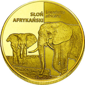 Medal Zoo Poznań słoń afrykański 429